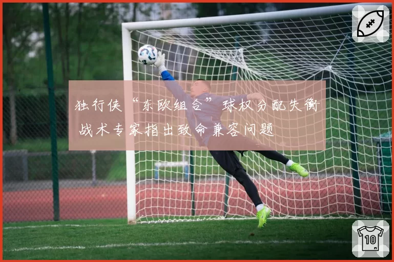 独行侠“东欧组合”球权分配失衡 战术专家指出致命兼容问题
