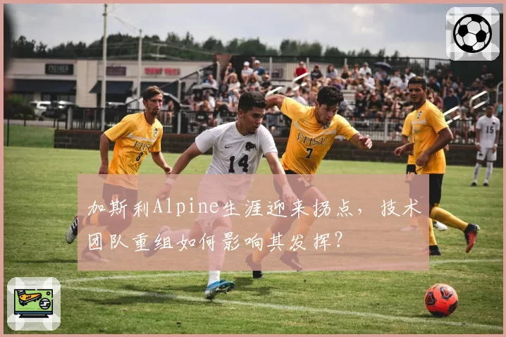 加斯利Alpine生涯迎来拐点,技术团队重组如何影响其发挥?