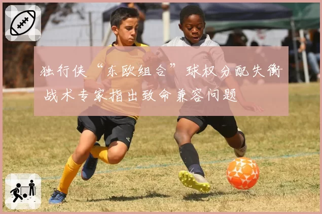 独行侠“东欧组合”球权分配失衡 战术专家指出致命兼容问题